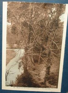 Route de BOUGIE A DJIDJELLI.Un Sous Bois.Cpa (carnet coupé court sur un coté),voyagé,be