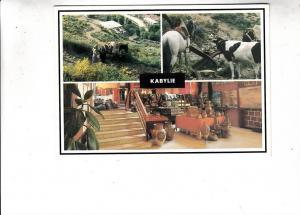 B48396 Algerie Kabylie typical scenes multipleviews not used perfect shape