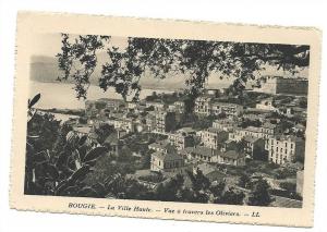 Bejaia ou Bougie (Algérie)  La ville Haute Vue des oliviers env 1930.