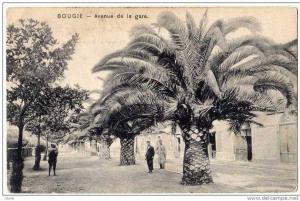 AK Algerien Bougie - Avenue de la gare, ungel. ca. 1910-1920