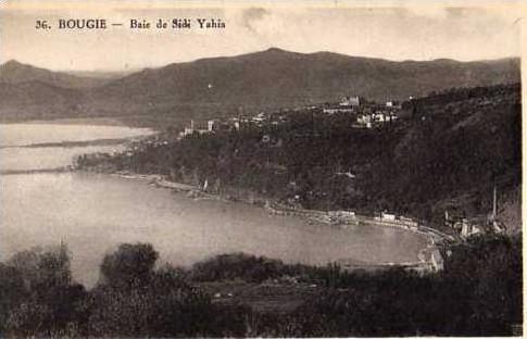 ALGERIE - BOUGIE Bois de Sidi Yahia.