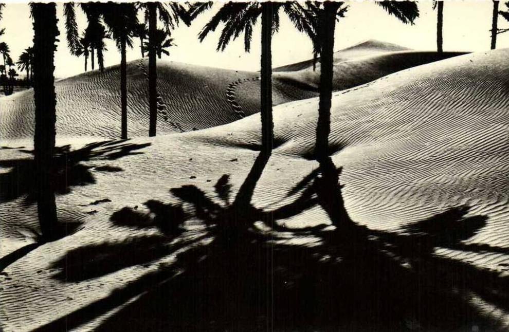 COLOMB BECHAR  Contre Jour    Recto Verso