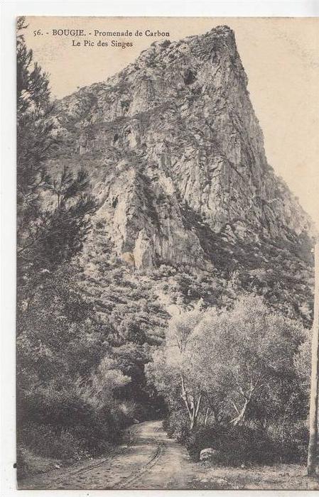 BR45791 Promenade de carbon le pic des singes  Bougie    2 scans