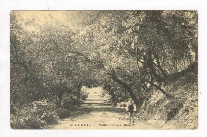 Béjaïa or Bougie, Algeria, 00-10s Promenade des Oliviers