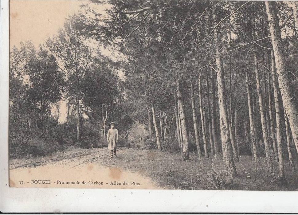 BR46160Bougie promenade de carbon allee des pins     2  scans