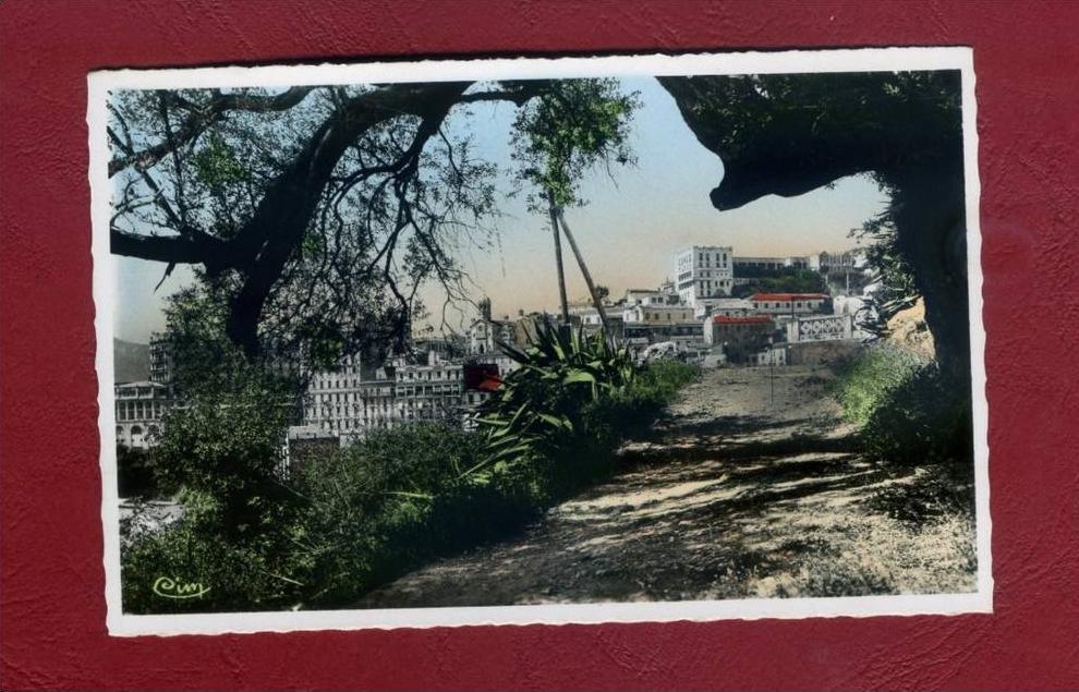 CPSM ALGERIE - BOUGIE - CONSTANTINE - Une échappée sur la Ville - Cim - CARTE NEUVE