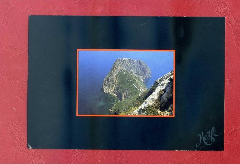 CPSM ALGÉRIE - CAP CARBON - Bejaia - Bougie - Bay Bucht Bahia Baia  ALGERIA AFRIQUE AFRICA Card Carte