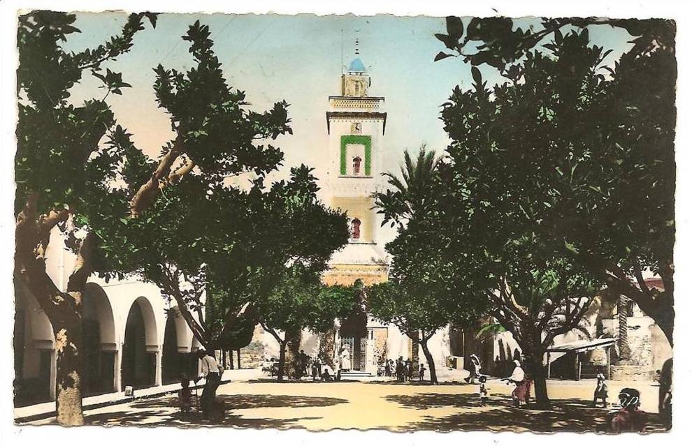 147 - BOUGIE (Bejaya - ALGERIE) - La Mosquée (C.A.P.)
