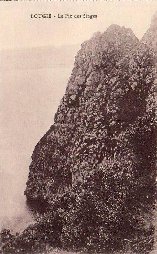 ALGERIE  BOUGIE  Le Pic des Singes  ..... ( Ref FA405 )