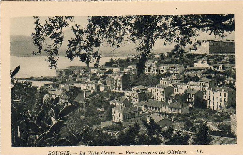 ALGERIE  BOUGIE  La Ville Haute. Vue à travers les Oliviers  ..... ( Ref FA401 )