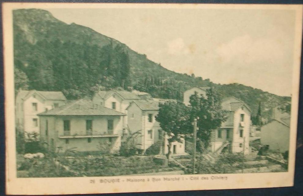 BOUGIE.Maisons à Bon Marché.Cité des Oliviers.Cpa (carnet),voyagé,be