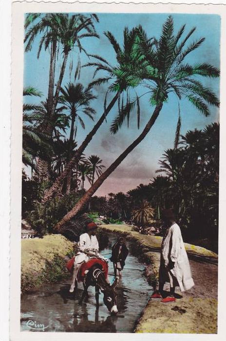 AFRIQUE,ALGERIE FRANCAISE,AFRICA,BOUGIE,O ASIS,ANE,SEGUIA,CORRESPON DANCE  président du tribunal de grenoble,isere