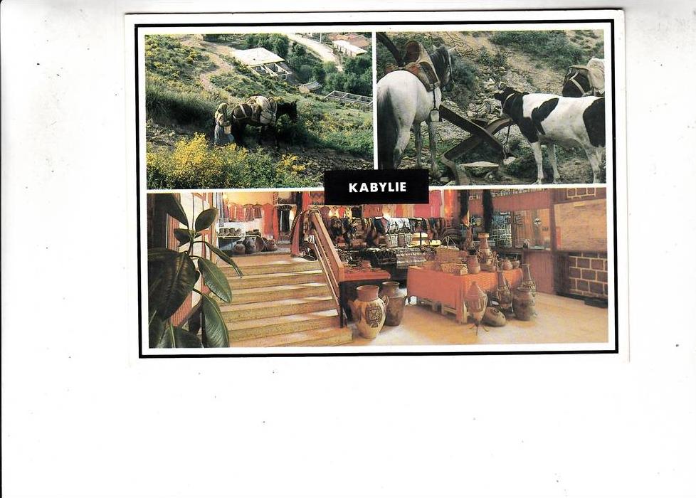 B48396 Algerie Kabylie typical scenes multipleviews not used perfect shape