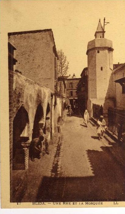 ALGERIE / ALGERIEN   Route de Bougie a Djidjelei       -   Vue sur la Baie de Ziama