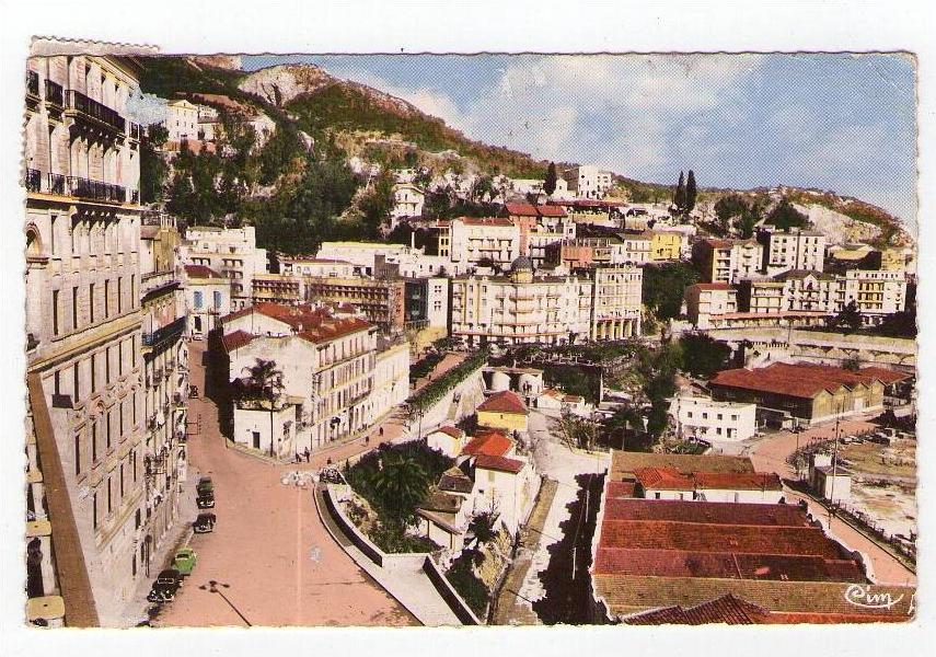 cpsm  BOUGIE ( algérie) vue générale . (0371)