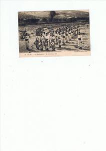 BLIDA - La Nouba du 1er Tirailleurs