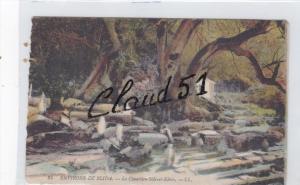 Environs de BLIDA - Le Cimetiére Sidi - el - Kébir