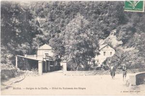 BLIDA. Gorges de la Chiffa. Hôtel du Ruisseau des Singes. 66
