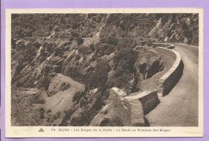 Algérie - Les Gorges de la Chiffa - la Route du Ruisseau des Singes