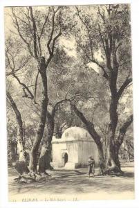 BLIDAH, Algeria, PU-1906 .- Le Bois Sacre