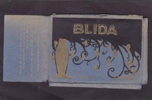 Algérie  BLIDA  Pochette de 8 petites cpsm  années 1930  6x9   9 scans
