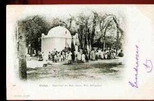 BLIDAH - 49  Marabout du bois sacré, Fête religieuse - (Beau plan très animé) - CP précurseur, vers 1900.