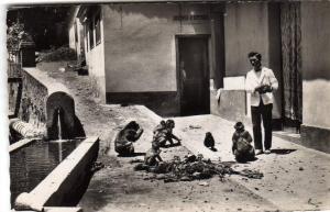 ALGERIE BLIDA - Gorges de la Chiffa Hôtel du Ruisseau des Singes Fontaine eau coule dans bassin