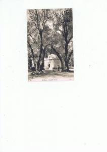 BLIDA - Le Bois Sacré