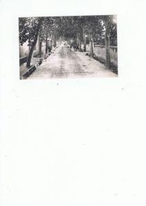 BLIDA - Avenue du Moulin