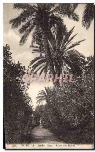 CPA Blida Jardin Bizol Allee des Roses