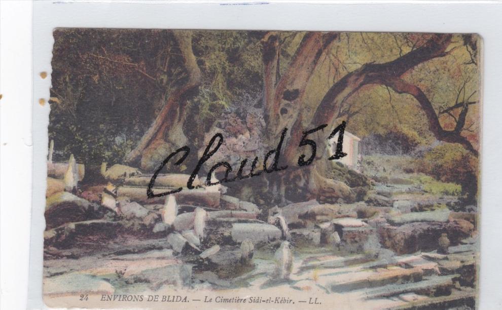 Environs de BLIDA - Le Cimetiére Sidi - el - Kébir