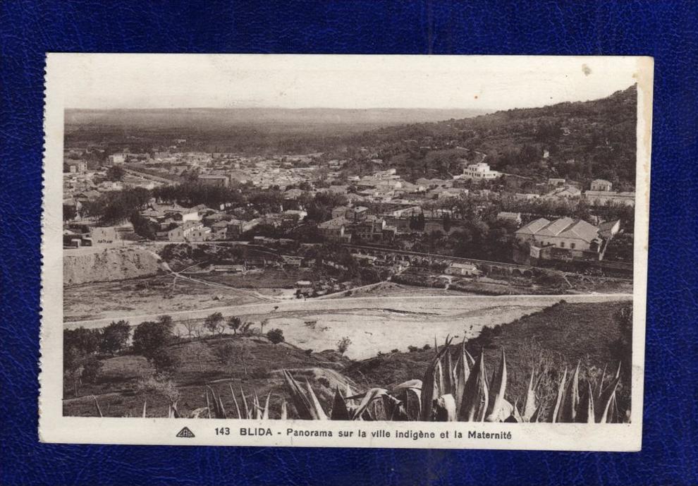 ALGERIE / ALGERIEN     Blida Panorama sur la ville indigene et la Maternite