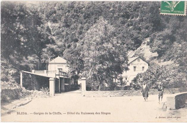 BLIDA. Gorges de la Chiffa. Hôtel du Ruisseau des Singes. 66