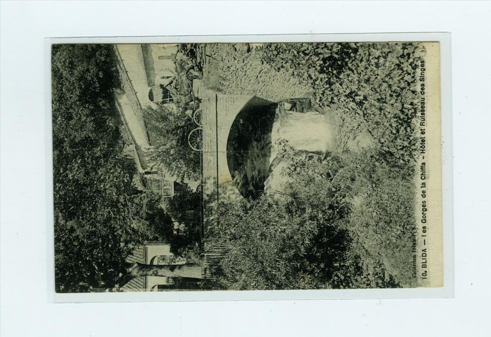 BLIDA  les gorges de la chiffa  hôtel et ruisseau des singes