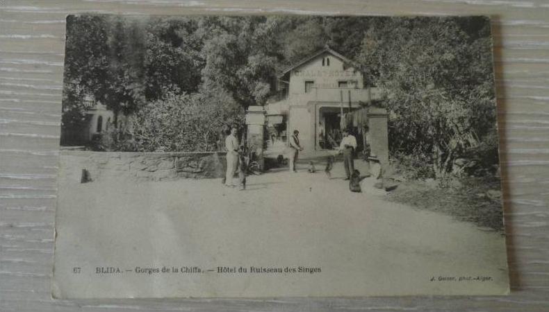 ALGERIE - BLIDA - GORGES DE LA CHIFFA - HOTEL DU RUISSEAU DES SINGES - MONTREURS DE SINGES