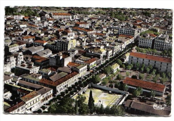 Blida, le boulevard Trumelet, vue aérienne, 1960, C.I.M. 54 A