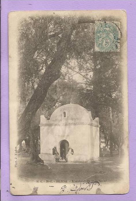 Algérie - BLIDA - Marabout du Bois Sacré - animée - oblitérée