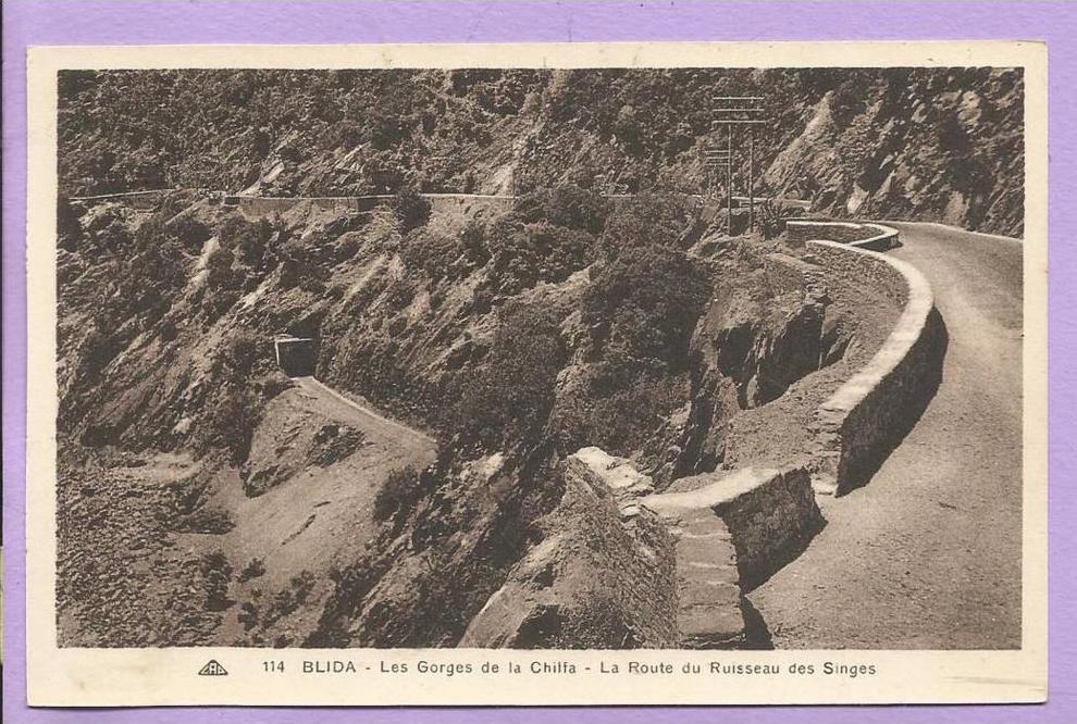 Algérie - Les Gorges de la Chiffa - la Route du Ruisseau des Singes