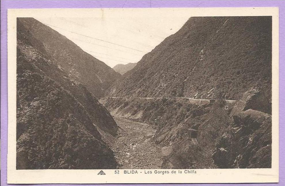 Algérie - Les Gorges de la Chiffa -