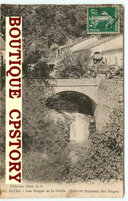 BLIDA - Hotel et Ruisseau des Singes - Pont sur les Gorges de la Chiffa - Bridge - Brucke - Dos Scanné