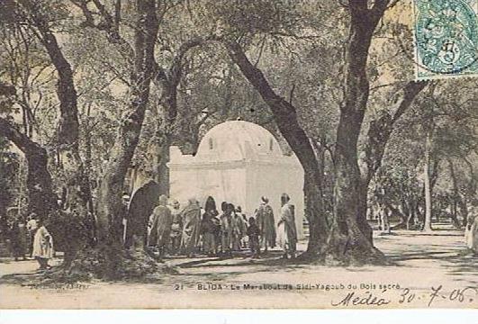 Blida - Le Marabout de Sidi-Yagoub du Bois sacré