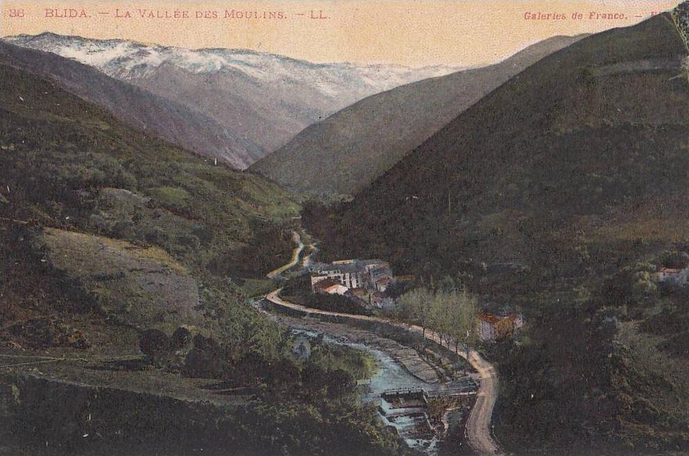 blida---la vallée des moulins