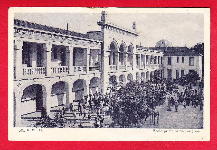 E-Algerie-250P208  BLIDA, école primaire de garçons, cpa