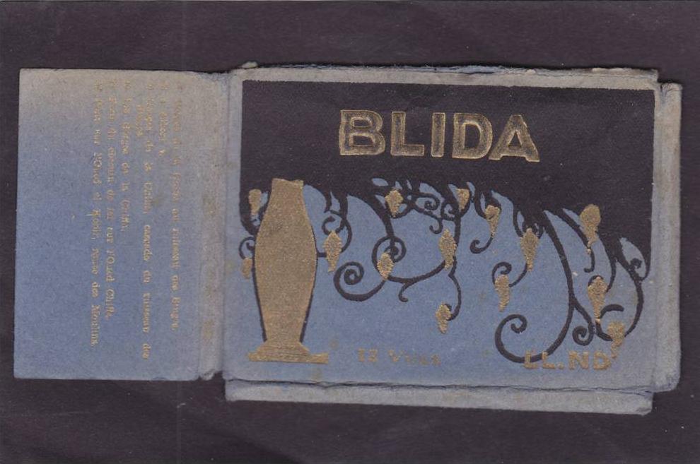 Algérie  BLIDA  Pochette de 8 petites cpsm  années 1930  6x9   9 scans