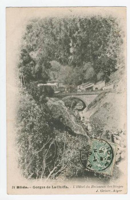 Blida          Gorges de la Chiffa  -  L'Hôtel du Ruisseau des Singes
