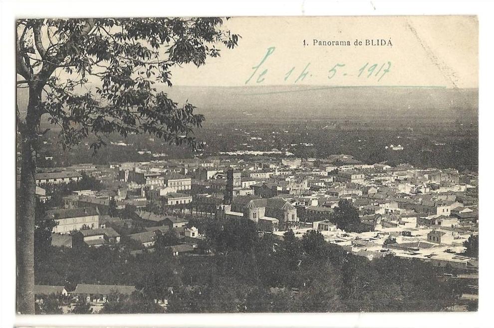 cp, Algérie, Blida, Panorama, écrite 1917
