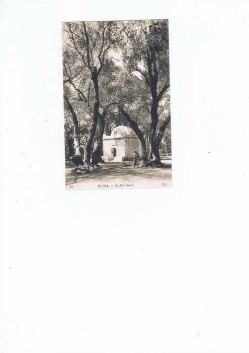 BLIDA - Le Bois Sacré