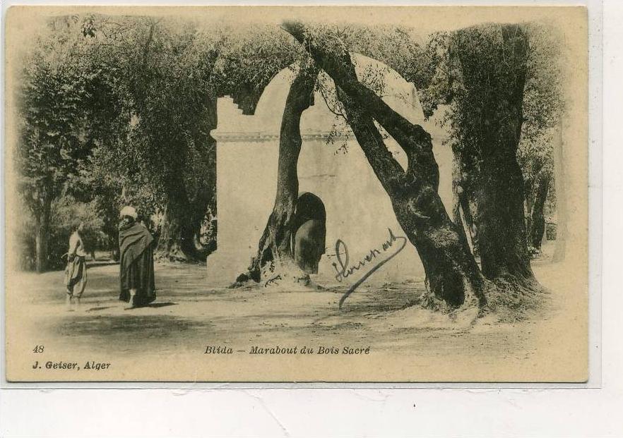 AFRIQUE               ALGERIE       BLIDA     MARABOUT