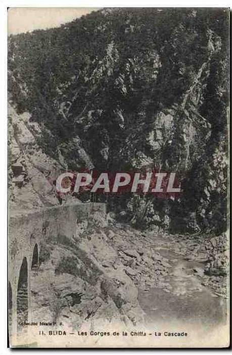 CPA Blida Les Gorges de la Chiffa La Cascade