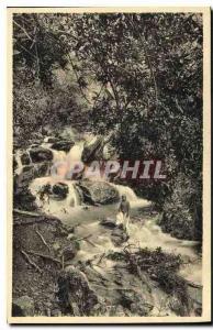 CPA Environs de Blida Les bords de la Chiffa Le Ruisseau des Singes